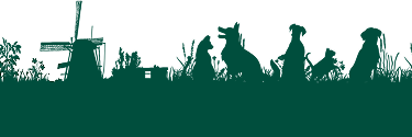 bg footer puro pet beschnitten v2 1